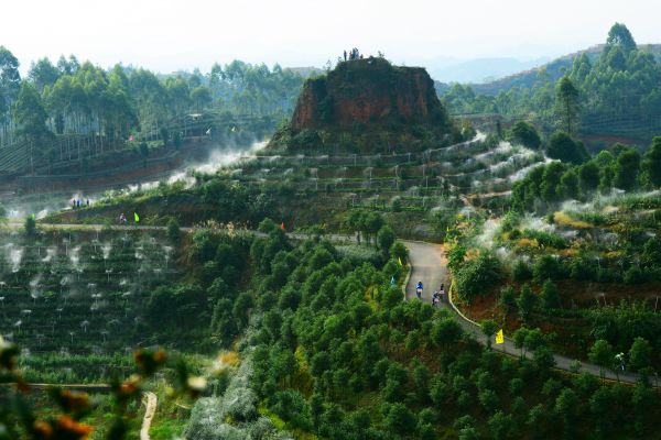 横贯在茶林间的骑行道路（明威镇供图）