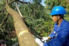 暴雨袭来宜宾4万余户居民用电受影响 经抢修已恢复供电