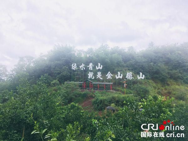 图片默认标题_fororder_绿水青山就是金山银山