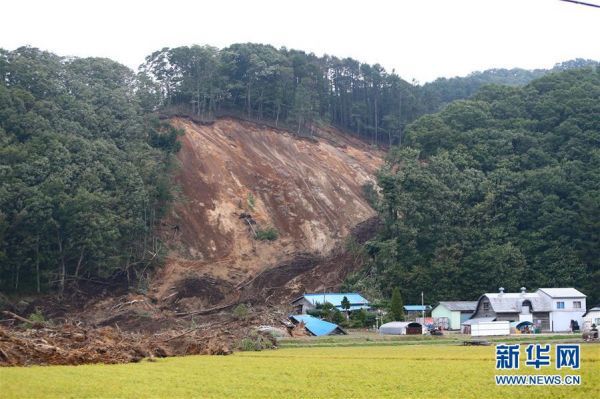 这是9月7日在日本北海道厚真町拍摄的一处山体滑坡现场。马曹冉 摄