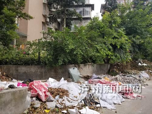 建渣及废弃杂物堆放在小区通道内侧