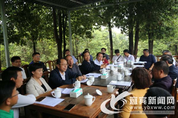 调研组深入林区开展实地调研，与村民进行详细的交谈。