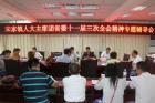 宋家镇人大专题学习省委十一届三次全会精神