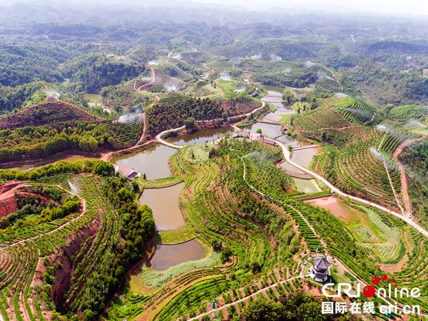 图片默认标题_fororder_一体化的山水田林路