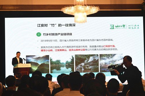 宜宾江安县作竹产业投资推介发言。王哲摄