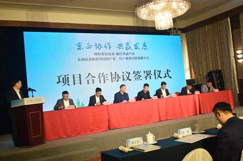 宜宾江安县作竹产业投资推介发言。王哲摄