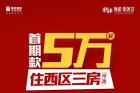 鲁能·原著荟：大城新篇章，生活新主场