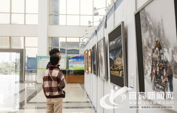 其中，宜宾共有14件作品入展，获奖作品5件。