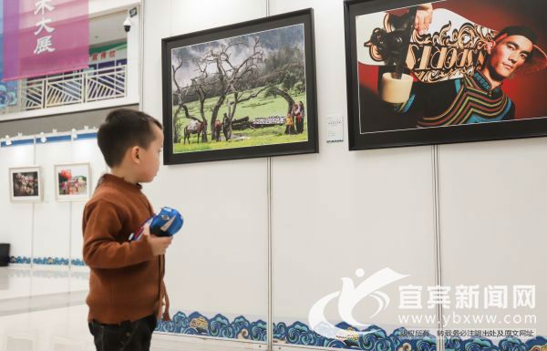据了解，本次展览共收到参赛市(州)、高校选送的美术、书法、摄影和工艺美术作品890件。