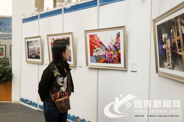此次大展经严格评审，评选出优秀作品参展。