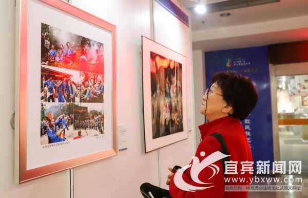 市民认真观看摄影展。