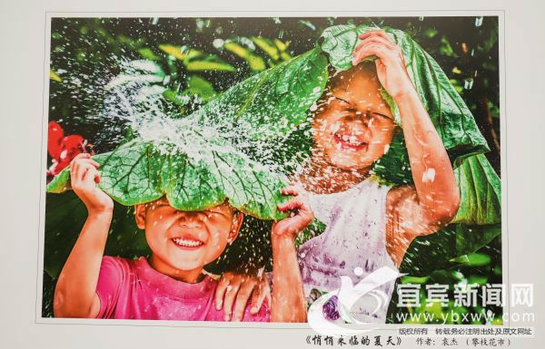 摄影作品《悄悄来临的夏天》。