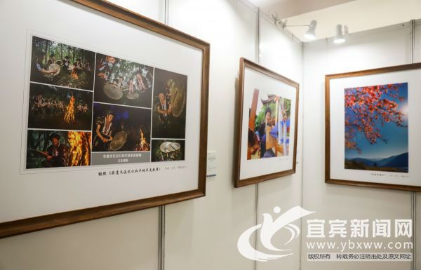 作品主题鲜明，意境深远，内容丰富，凝聚着摄影师的艺术灵感。
