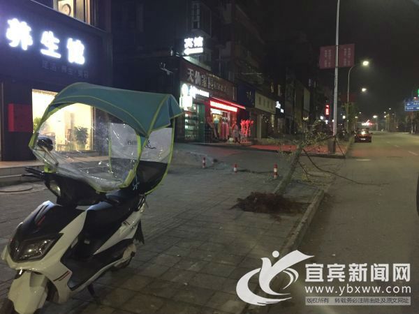 二次事故现场。（何欢  摄）