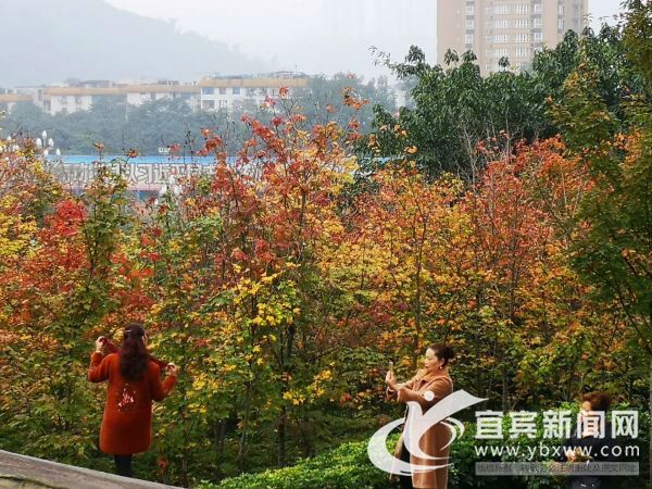 公园提醒：文明游园。