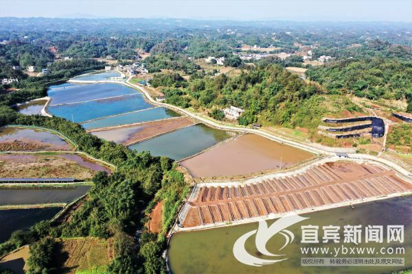 （张小兵供图）底蓬大田村350亩高端水产基地