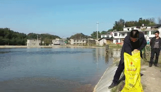 （张小兵供）底蓬大田村350亩高端水产基地视频_20190305182410