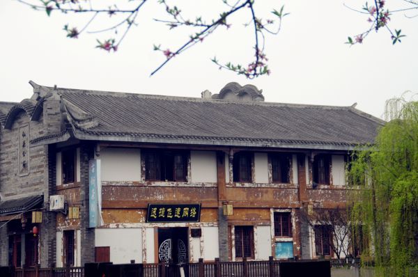 春风吹绿千枝柳，时雨催红万树花。（宜宾新闻网 王喻 摄）