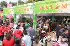 “熊猫宴”来了 快去长宁县享受“国宝”美食
