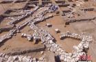 以色列发现距今5000年大型古城 曾容纳6000居民